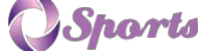 星空娱乐官方Logo